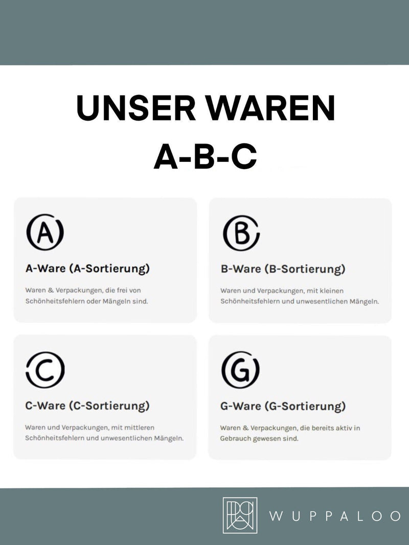 [B-BD] Schuhtrockner elektrisch mit Ozon Antibakeriell Schuh Fußballschuh Ski